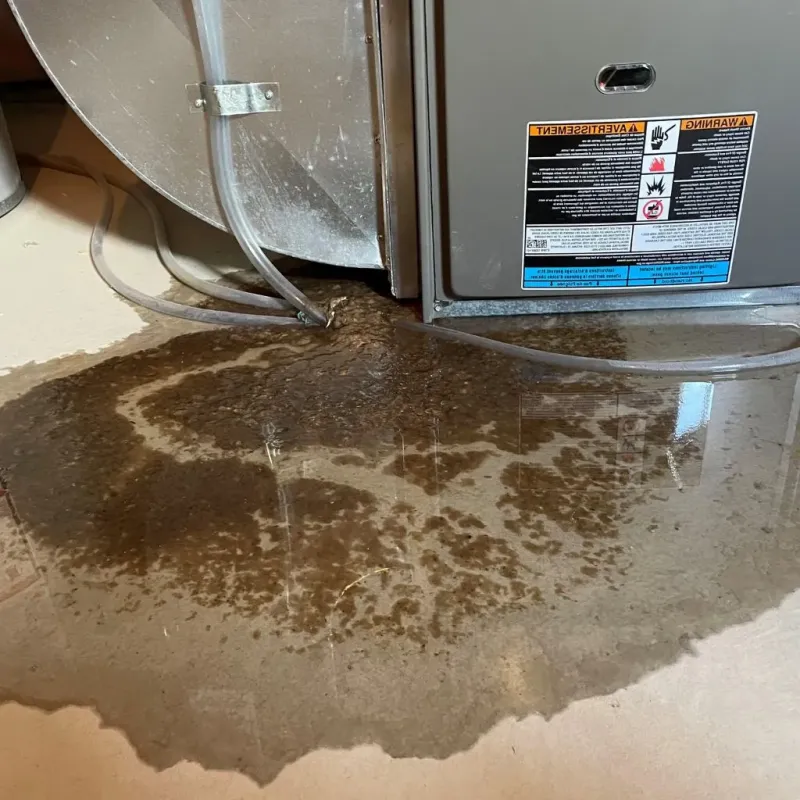 Pipe Burst and Leak Restoration in Towamensing Trails, PA